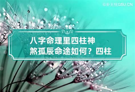 孤辰是修行命格嗎|紫微斗數中的孤克之星——孤辰、寡宿